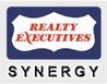 Logo synergy_medium.png